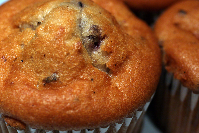 Two blueberry and oat bran muffins.
