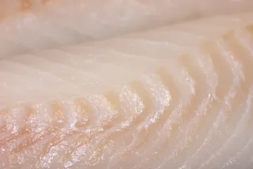 Detalle de filete de bacalao crudo.
