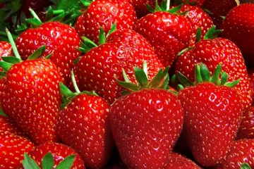 Fresas frescas.