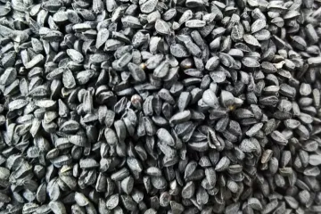 Detalle de neguilla.