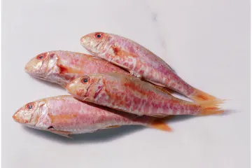 Salmonetes enteros.