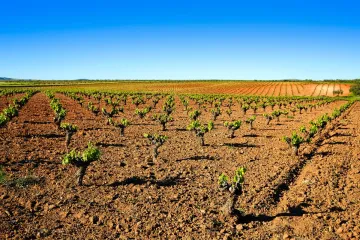 Extremadura y la Ribera del Guadiana.