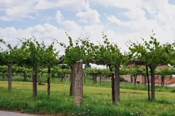 Las Rías Baixas.