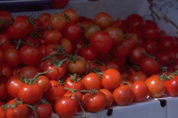 Tomates maduros en una caja.