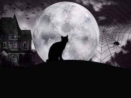 Casa abandonada, gato negro, luna llena y araña, motivos de Halloween.