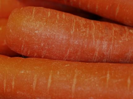 Detalle de zanahorias crudas, sin pelar.