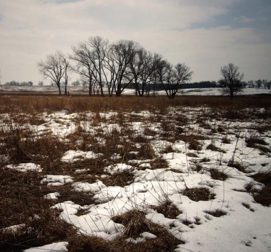 Homestead en Nebraska.