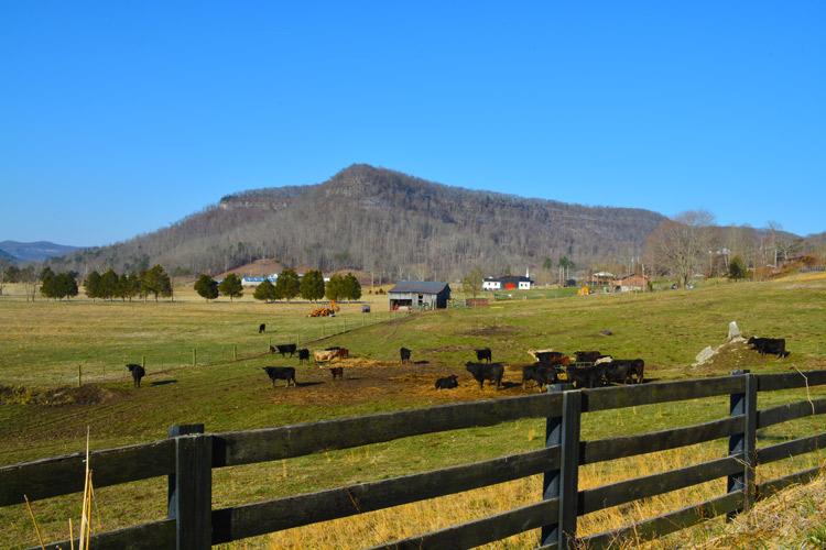 Granja de Kentucky, Estados Unidos.