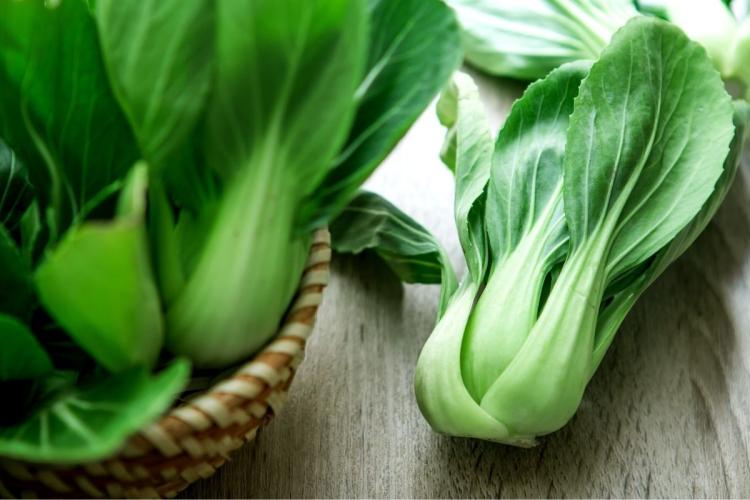 Bok choi de Shanghai con tallo verde.