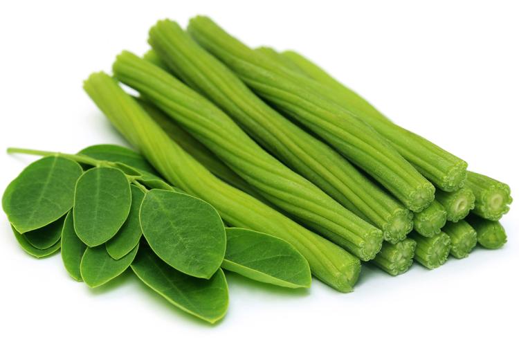 Hojas y tallos de moringa.