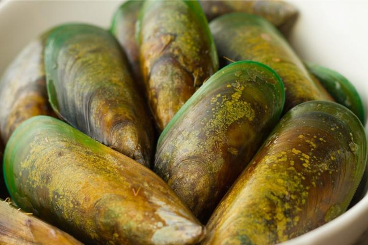 Mejillones de labios verdes, un molusco típico de Nueva Zelanda.