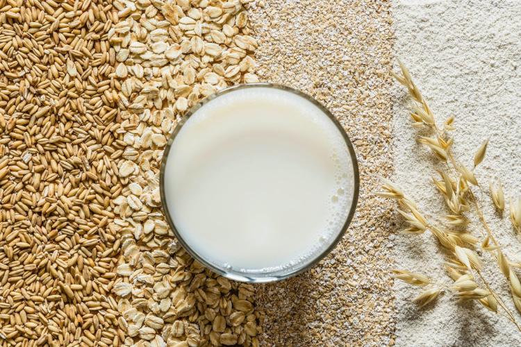 Avena en grano, copos de avena, salvado de avena, harina de avena, una espiga y un vaso de leche de avena.