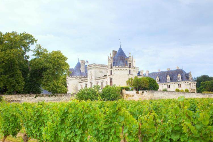 Chateu y viñedo en Breze, dentro de la región del Loira, Francia