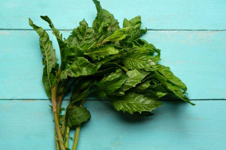 Epazote fresco, una hierba aromática mexicana.