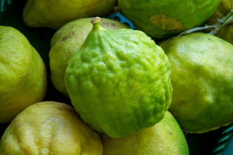 Cidras de piel gruesa y rugosa apiladas en un mercado.