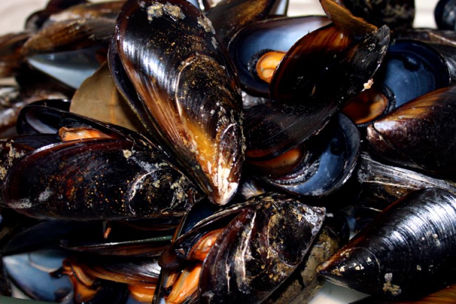 Mejillones cocidos.