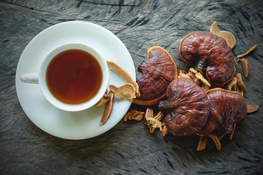 Una taza de té reishi y hongos lingzhi a su lado.