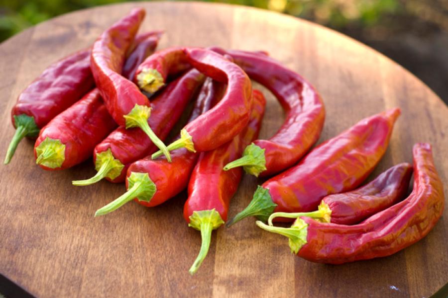 Chiles rojos mexicanos.