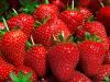 Fresas frescas.