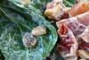 Ensalada de espinacas, piñones y pasas con jamón serrano aliñada.