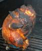 Pollo a la cerveza en barbacoa.
