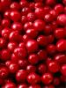 Arándanos ácidos, cranberries.