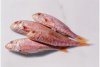 Salmonetes enteros.