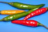 Guindillas tailandesas, o chiles tailandeses, de color amarillo, verde, y rojo.