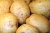 Patatas blancas de piel fina.