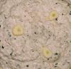 Detalle de una salsa tarator con tahini.