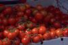 Tomates maduros en una caja.