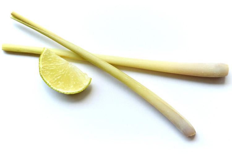Dos tallos de hierba de limón.