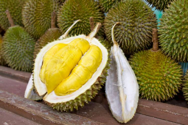 Un durián abierto delante de una pila de frutos maduros.