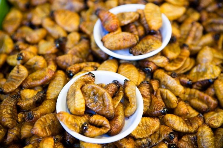 Larvas comestibles en un mercado callejero tailandés.